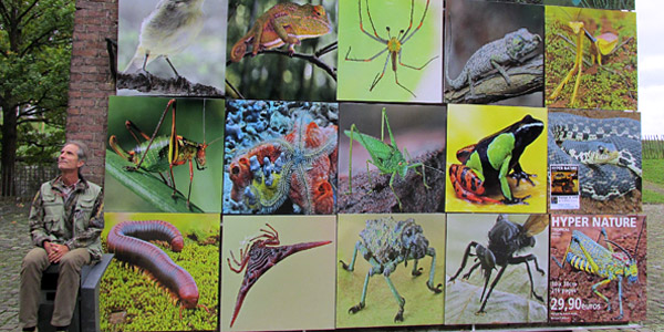Le mur d'images tiré de l'ouvrage Hyper Nature au Festival Nature de Namur