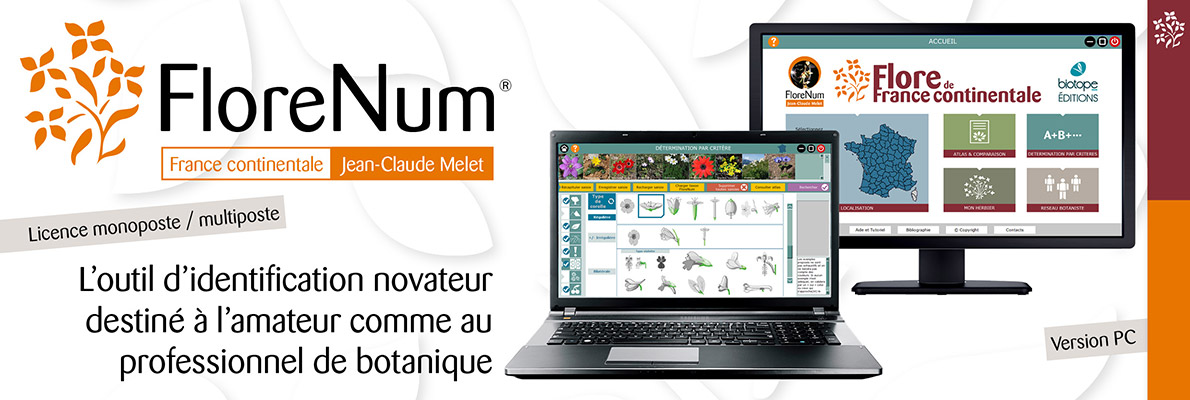 FloreNum - Le logiciel d'identification et l'encyclopédie illustrée de la flore de France continentale