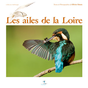 Les ailes de la Loire