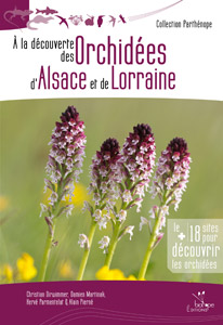 À la découverte des orchidées d’Alsace et de Lorraine