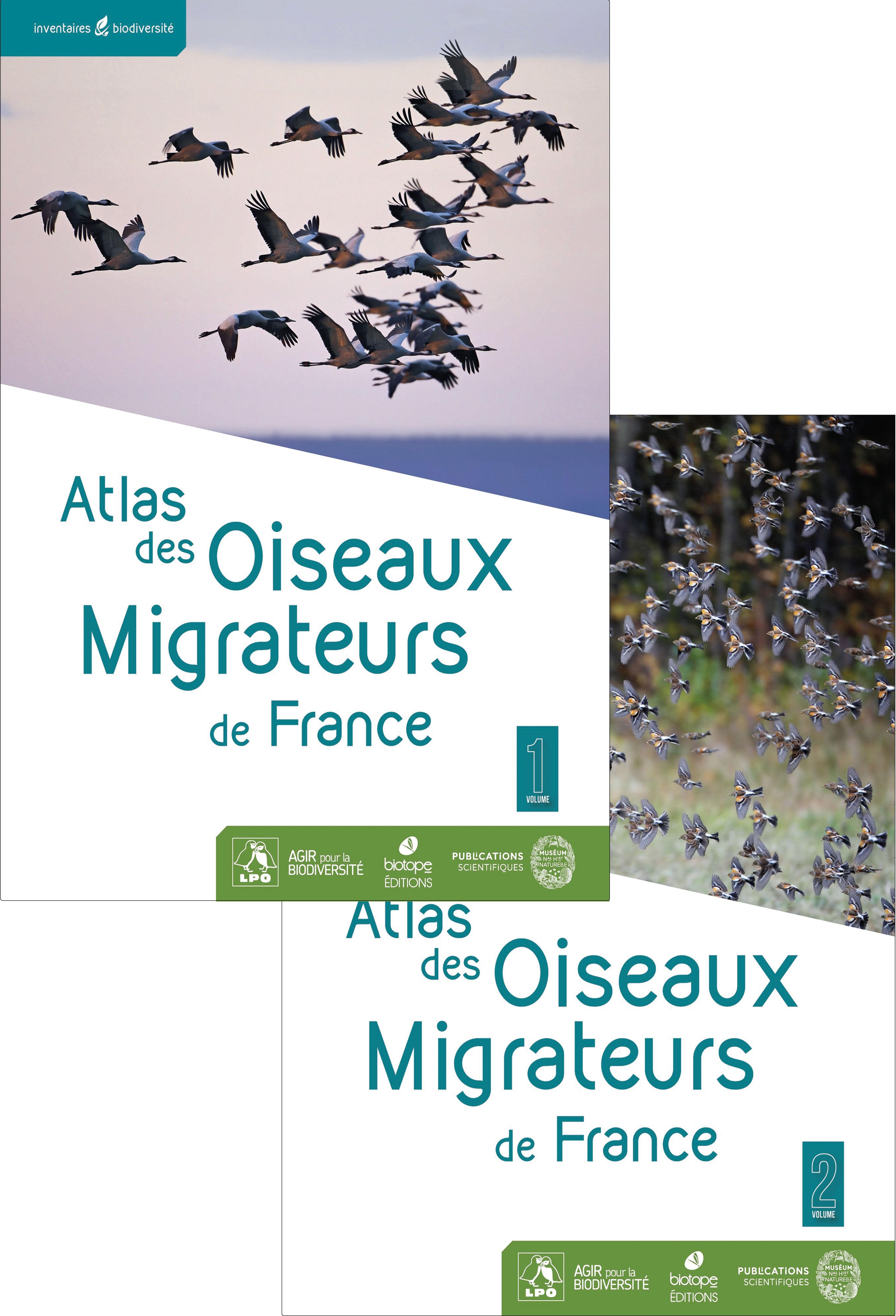 Atlas des Oiseaux Migrateurs de France