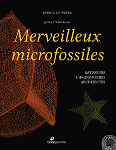 Merveilleux microfossiles