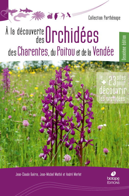 Orchidees des Charentes, du Poitou et de la vendee